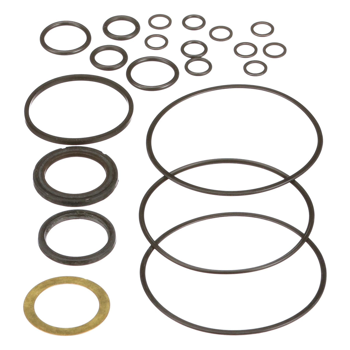 1542724C1 - OEM HYDRAULIC PUMP SEALS KIT PACK OF 21 - CASE CONSTRUCTION