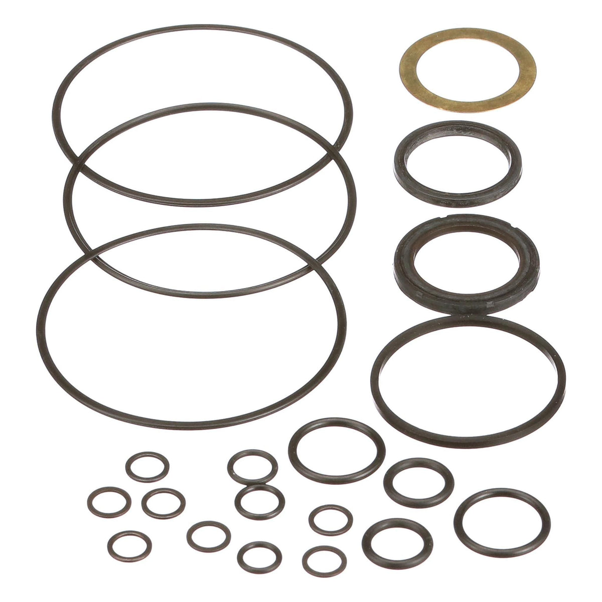 1542724C1 - OEM HYDRAULIC PUMP SEALS KIT PACK OF 21 - CASE CONSTRUCTION