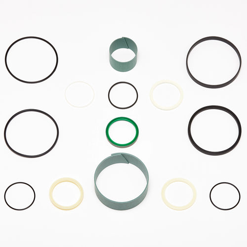 1543306C1 - OEM SEALS KIT - CASE CONSTRUCTION