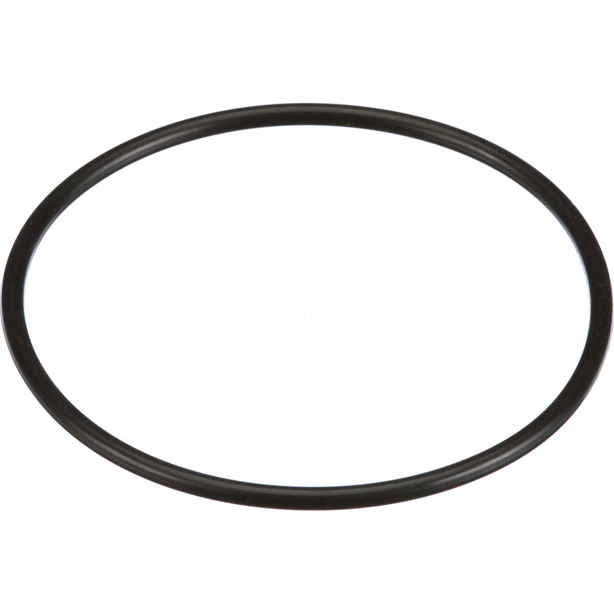 154679A1 - OEM O-RING - CASE CONSTRUCTION