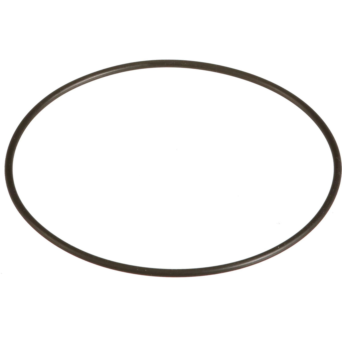 154753A1 - OEM O-RING - CASE CONSTRUCTION
