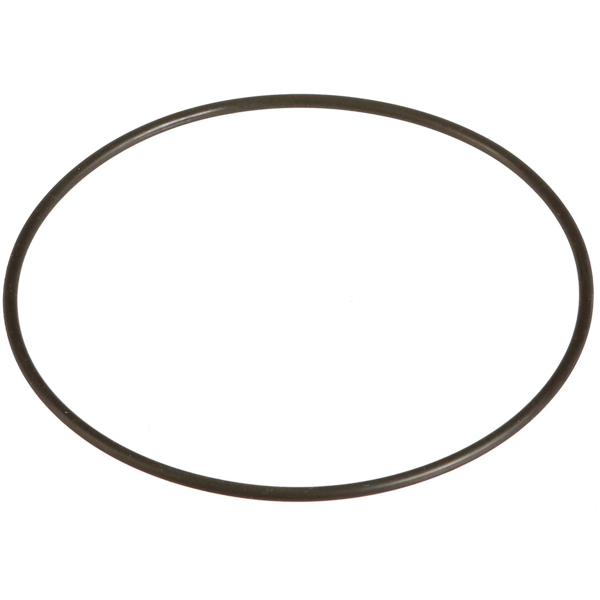 154753A1 - OEM O-RING - CASE CONSTRUCTION