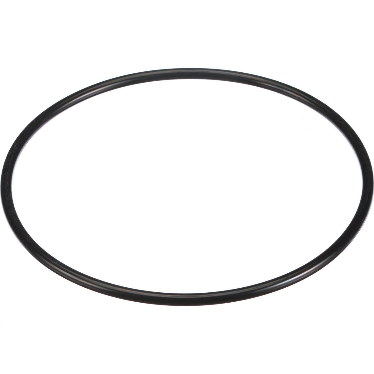 154829A1 - OEM O-RING - CASE CONSTRUCTION