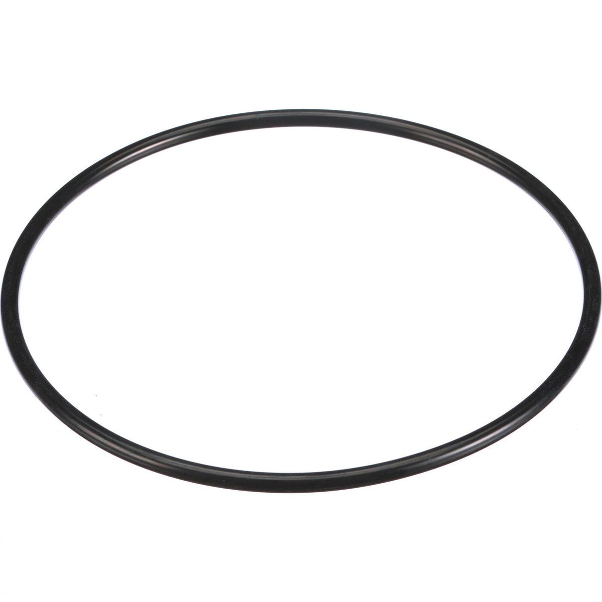 154829A1 - OEM O-RING - CASE CONSTRUCTION