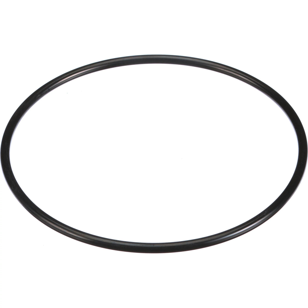 154829A1 - OEM O-RING - CASE CONSTRUCTION