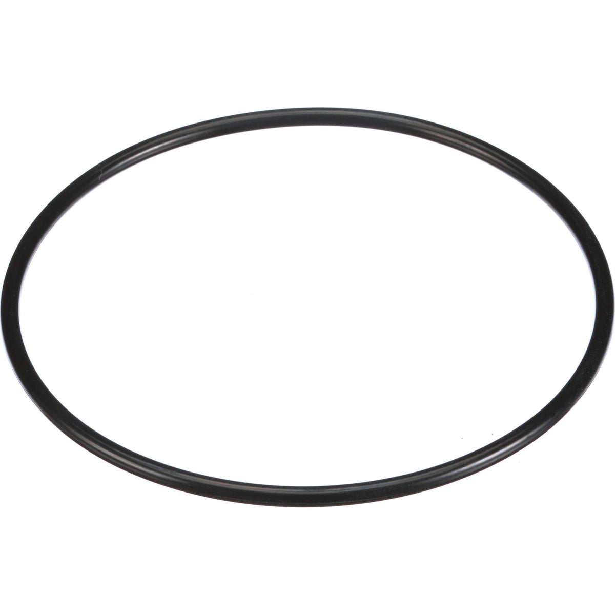 154829A1 - OEM O-RING - CASE CONSTRUCTION