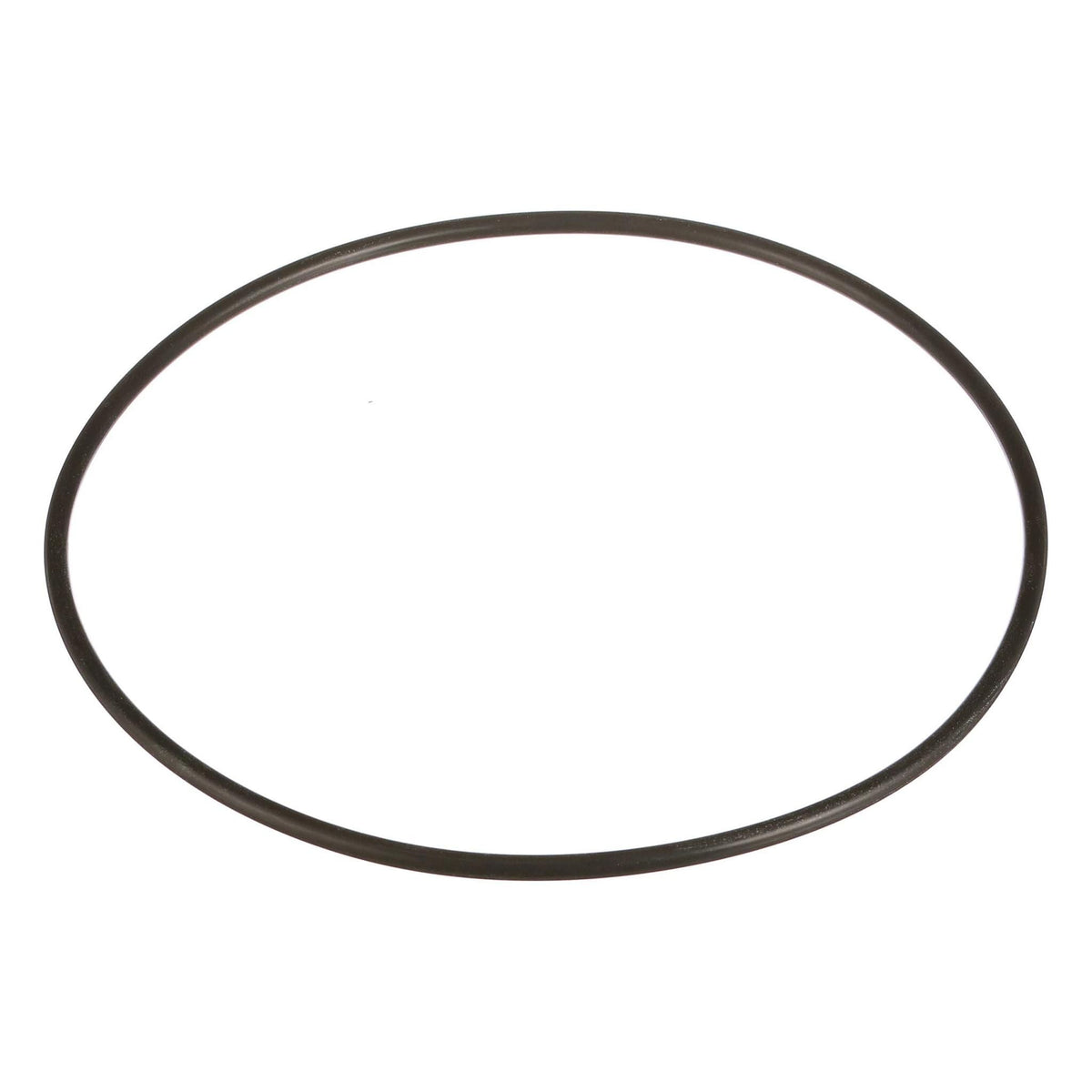 154909A1 - OEM O-RING - CASE CONSTRUCTION