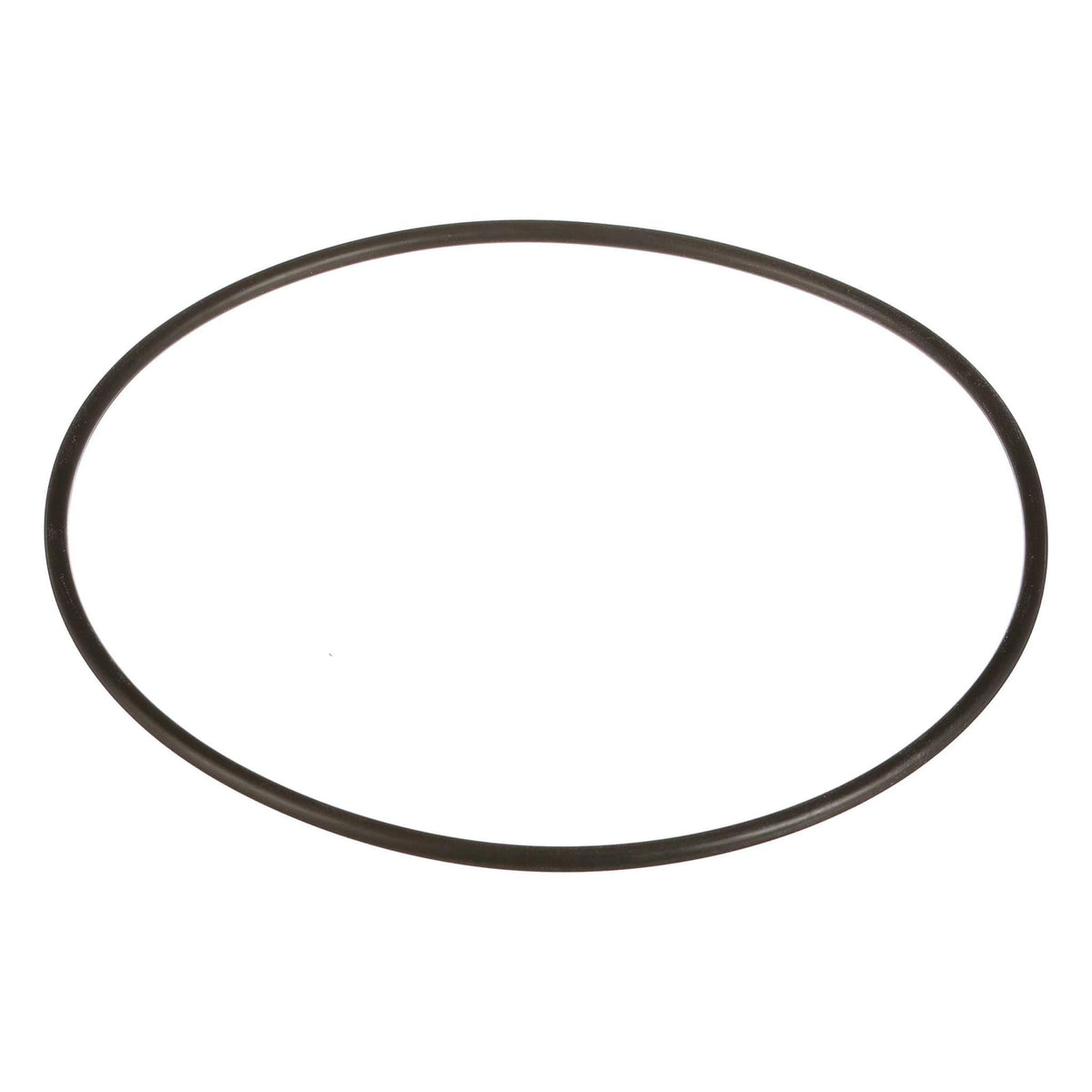 154909A1 - OEM O-RING - CASE CONSTRUCTION
