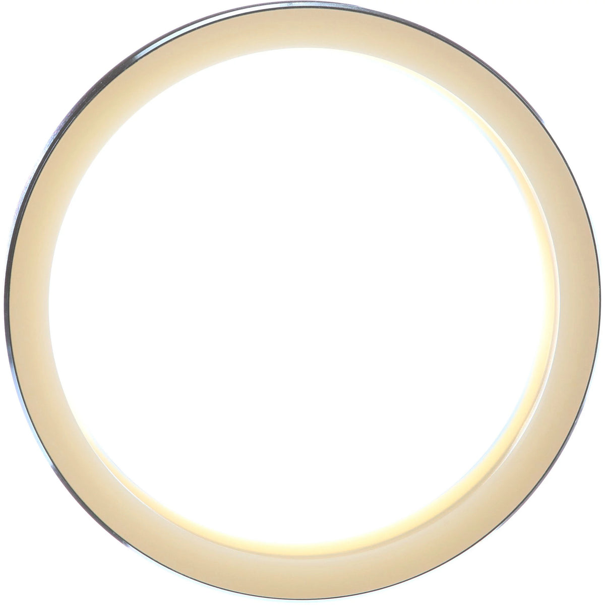 160407A1 - OEM SEAL DUST - CASE CONSTRUCTION