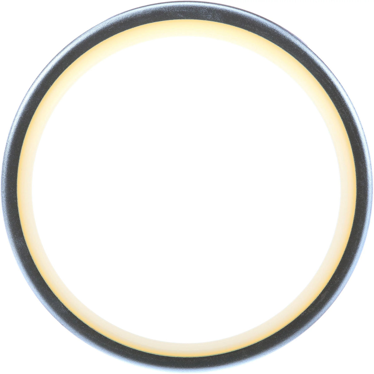 160407A1 - OEM SEAL DUST - CASE CONSTRUCTION