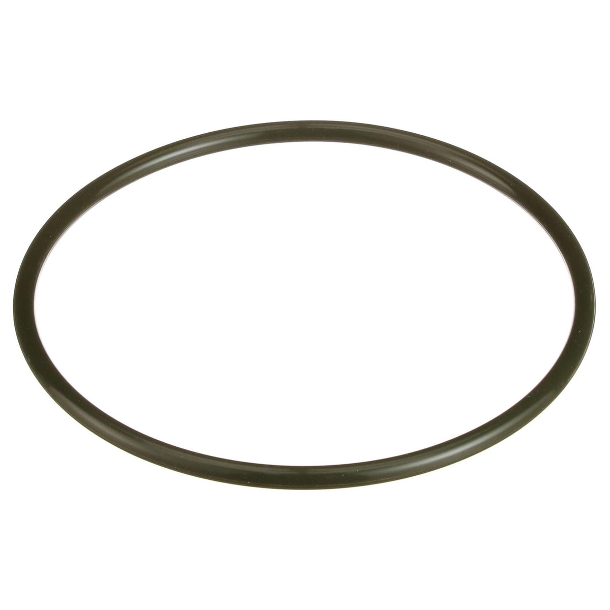 162996A1 - OEM O-RING - CASE CONSTRUCTION