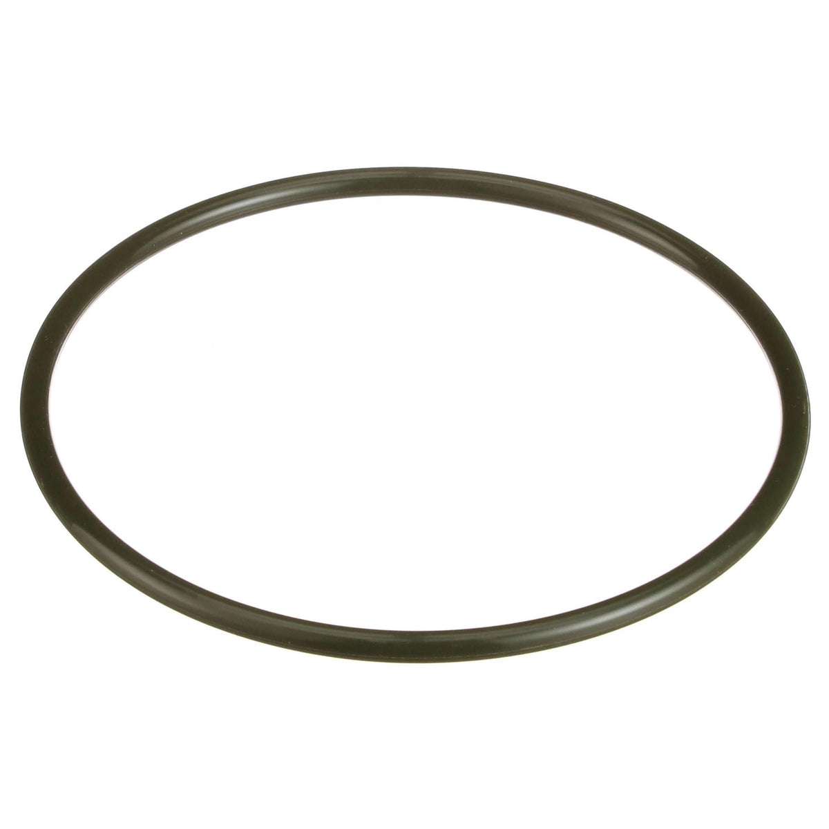 162996A1 - OEM O-RING - CASE CONSTRUCTION
