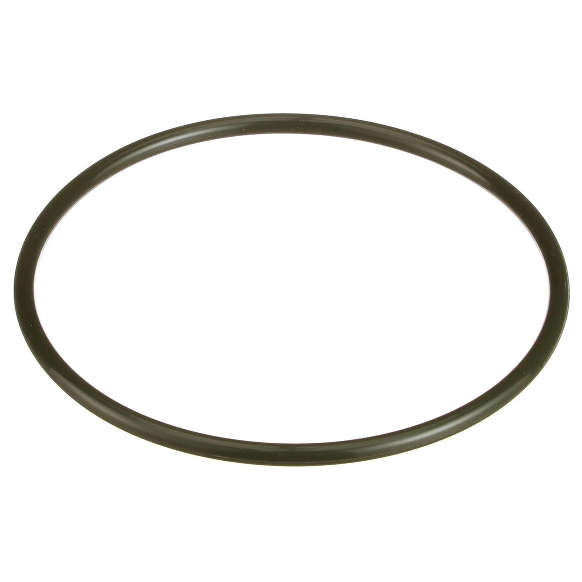 162996A1 - OEM O-RING - CASE CONSTRUCTION