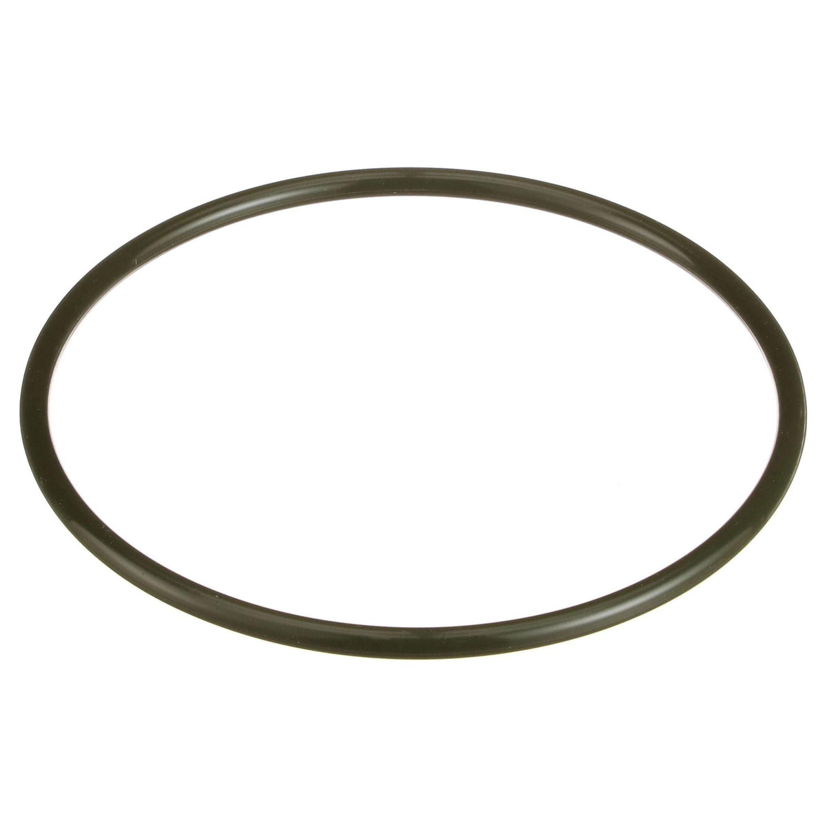 162996A1 - OEM O-RING - CASE CONSTRUCTION