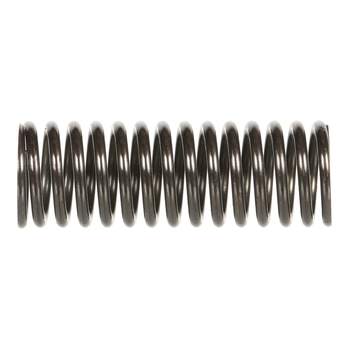163394A1 - OEM COMPRESSION SPRING - CASE CONSTRUCTION