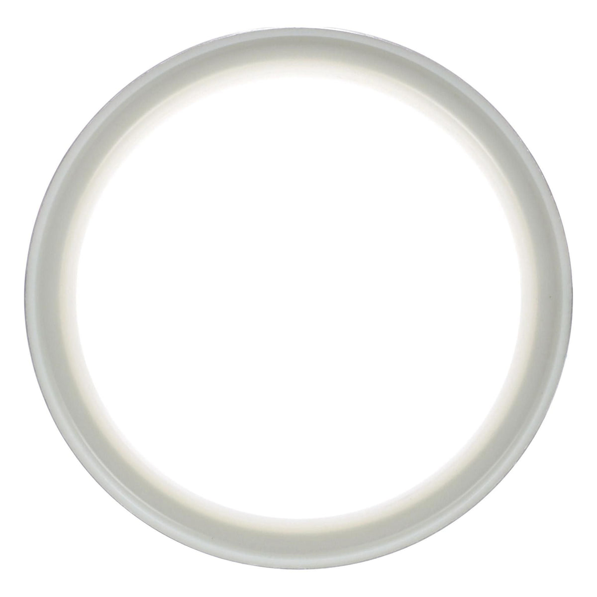 164446A1 - OEM SEAL WIPER RING - CASE CONSTRUCTION