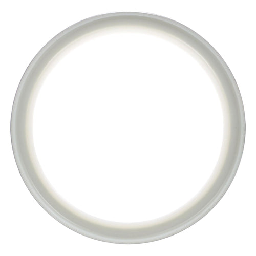 164446A1 - OEM SEAL WIPER RING - CASE CONSTRUCTION