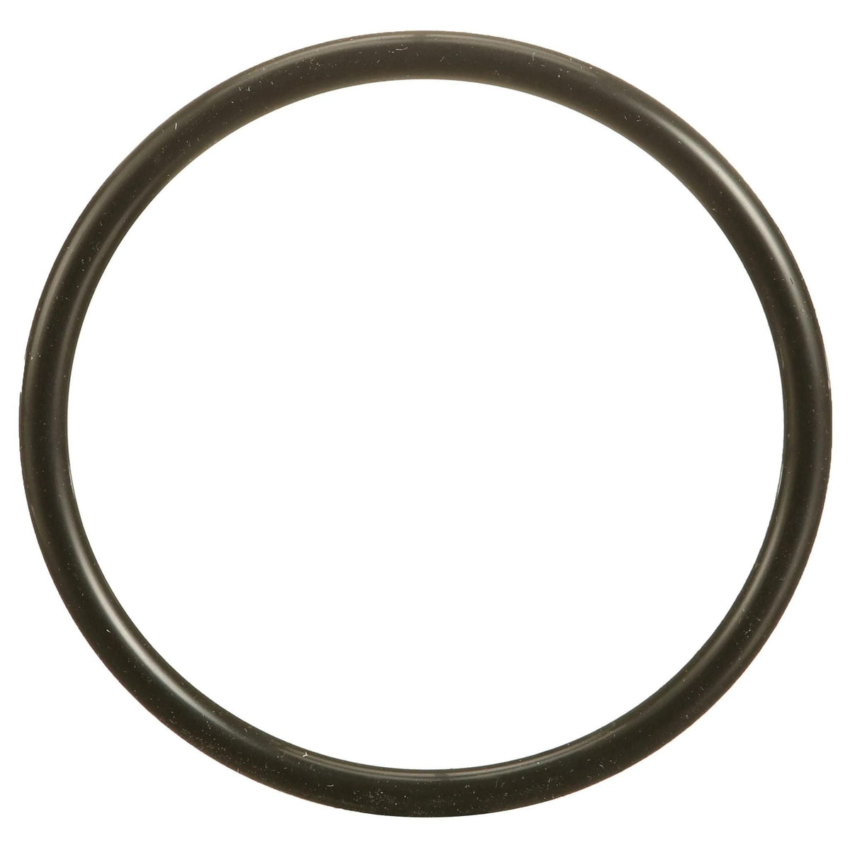166465A1 - OEM O-RING - CASE CONSTRUCTION