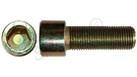 16689377 - OEM SCREW - CASE CONSTRUCTION