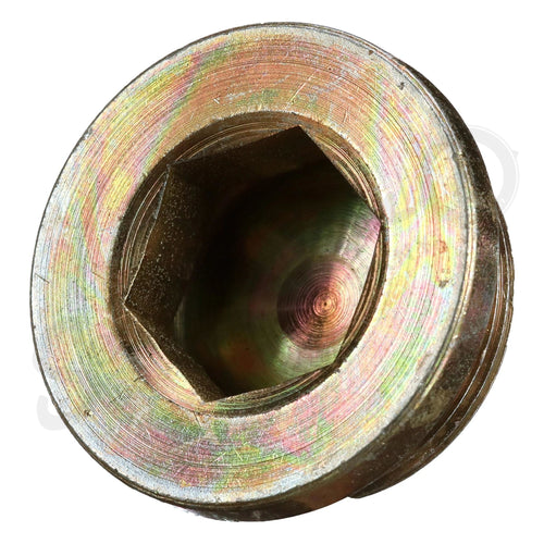 16993511 - OEM PLUG - CASE CONSTRUCTION