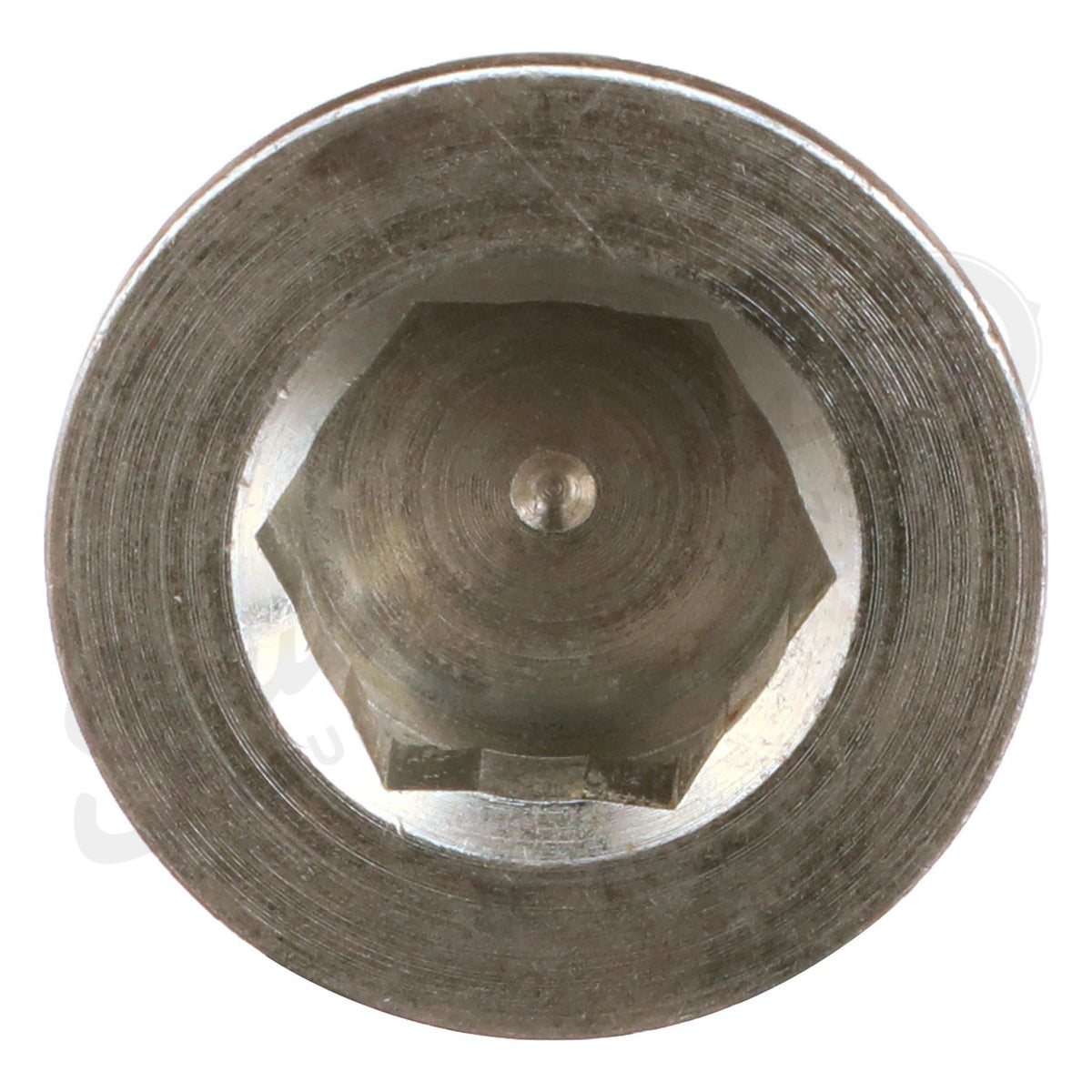 16993811 - OEM PLUG - CASE CONSTRUCTION
