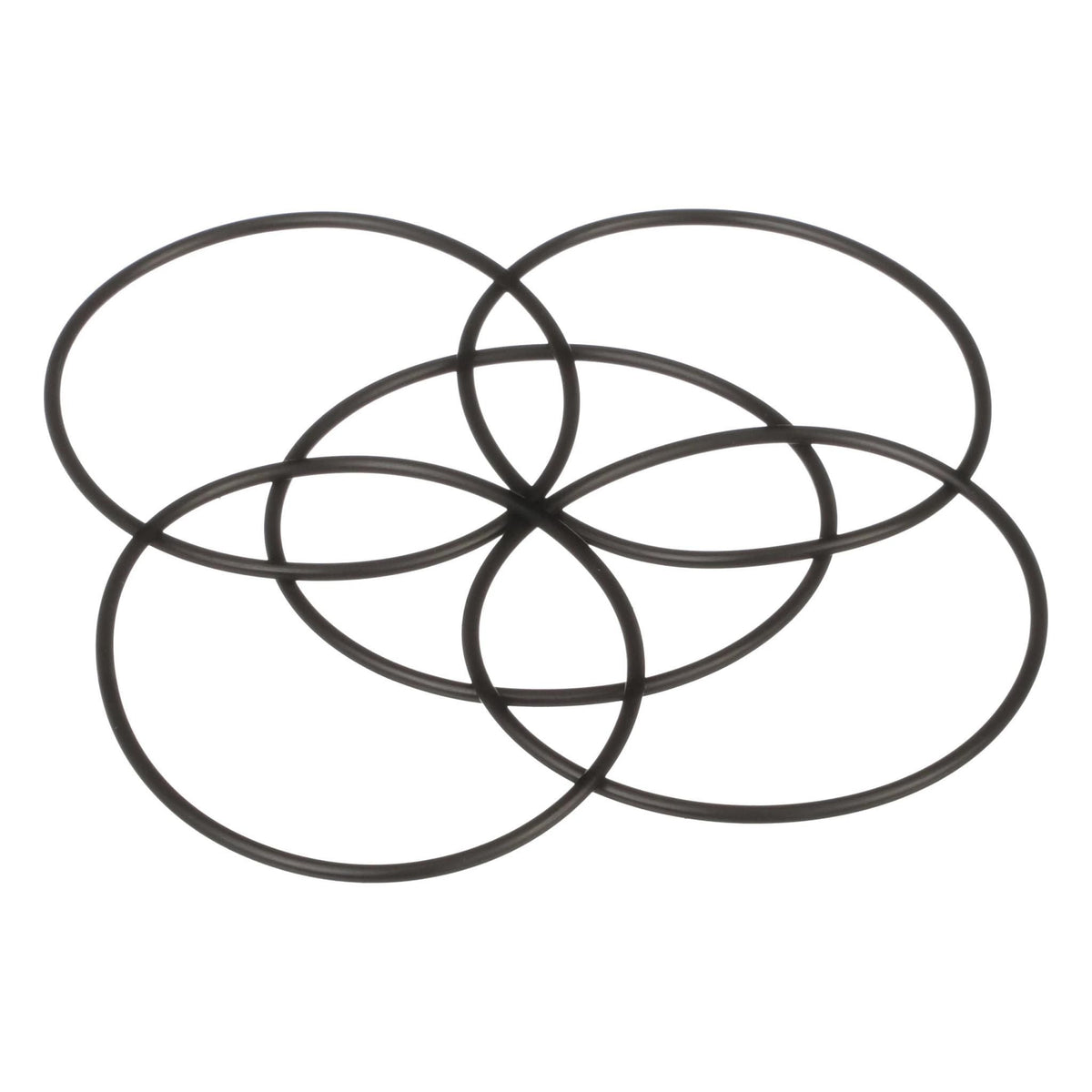 1707280 - OEM O-RING - CASE CONSTRUCTION
