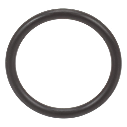 17278390 - OEM O-RING - CASE CONSTRUCTION