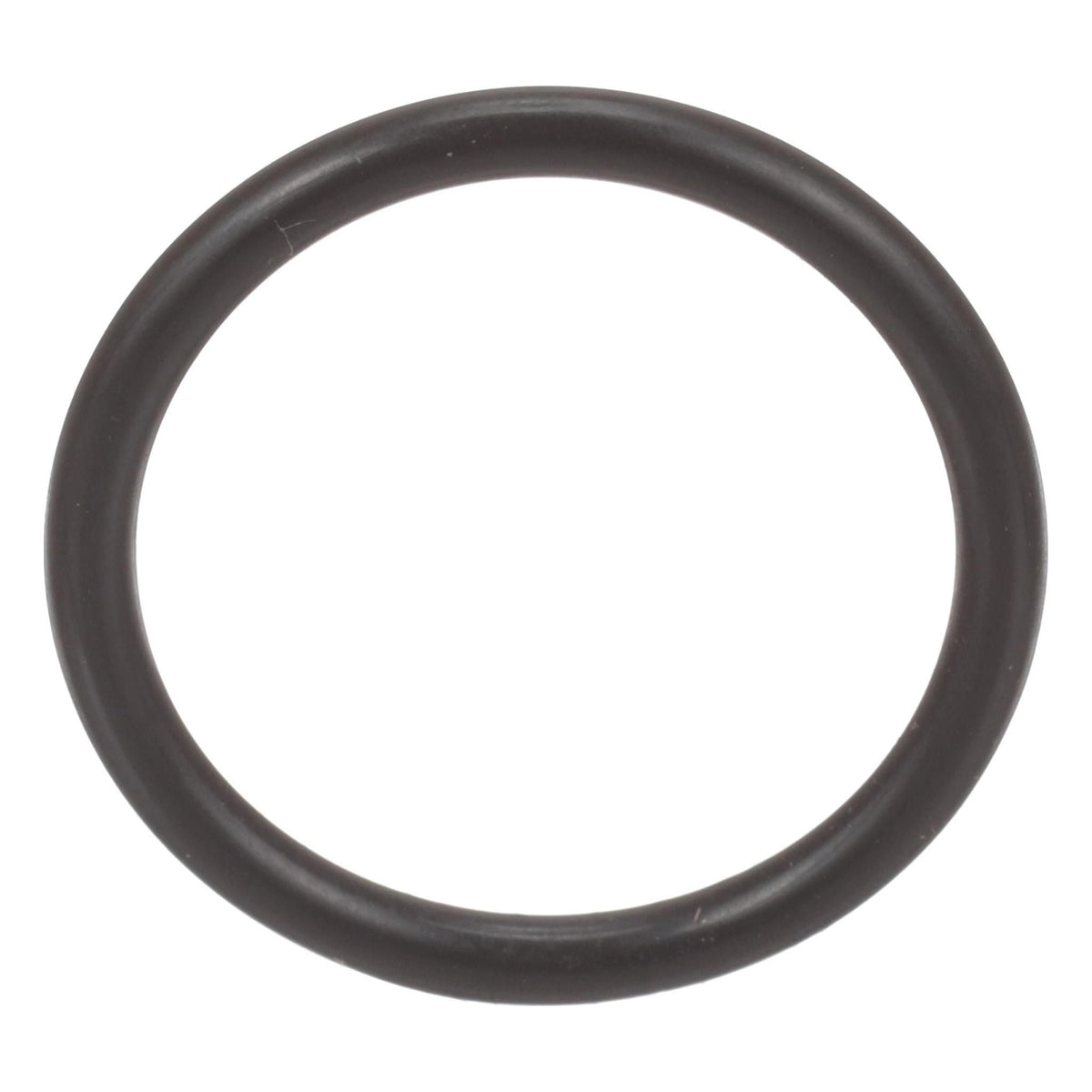 17278390 - OEM O-RING - CASE CONSTRUCTION