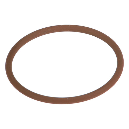 17283181 - OEM O-RING - CASE CONSTRUCTION