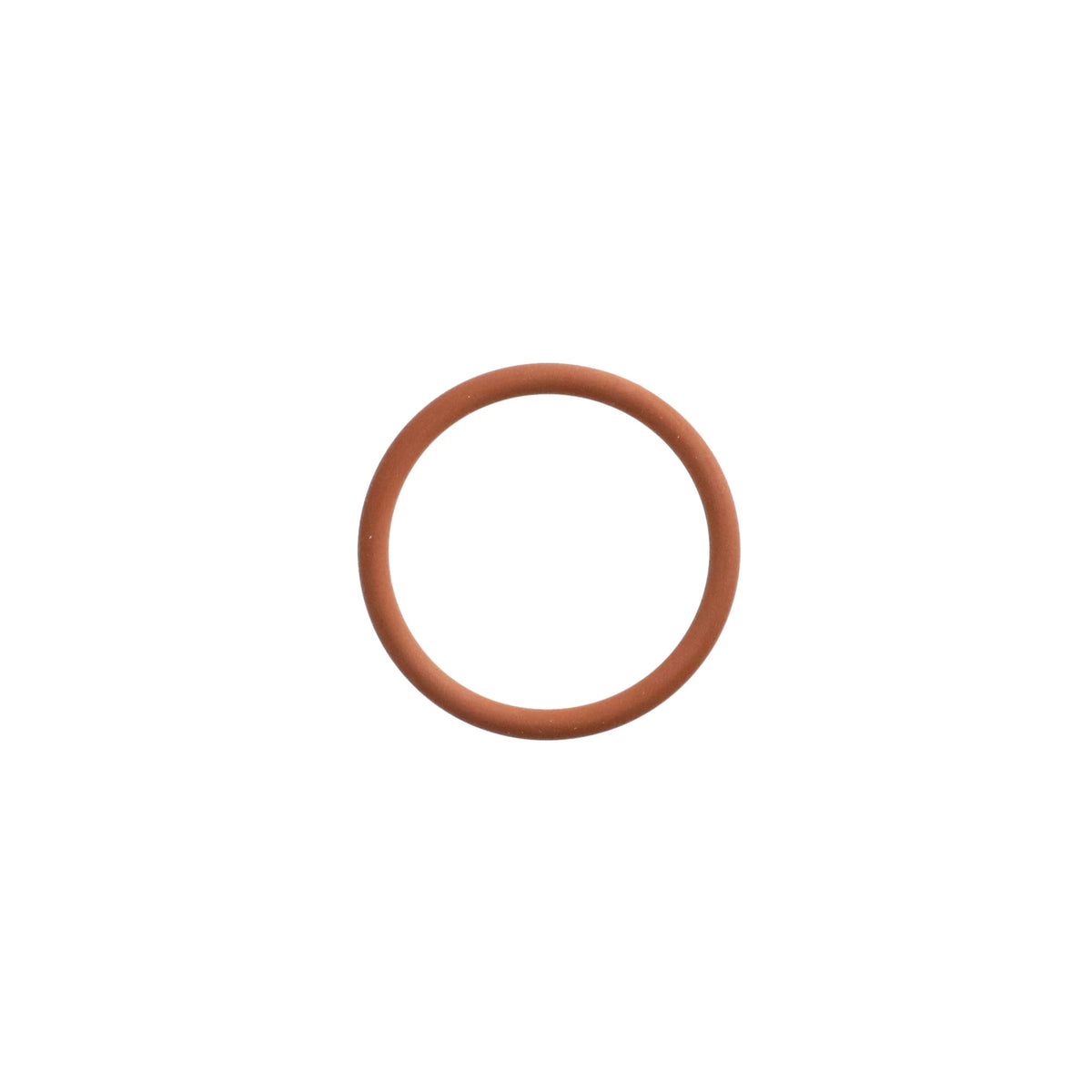 17289281 - OEM O-RING - CASE CONSTRUCTION