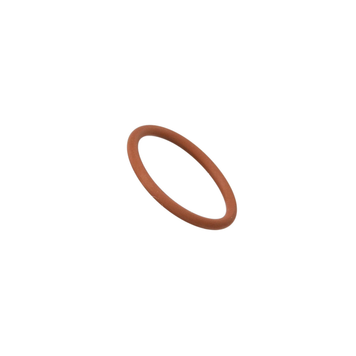 17289281 - OEM O-RING - CASE CONSTRUCTION