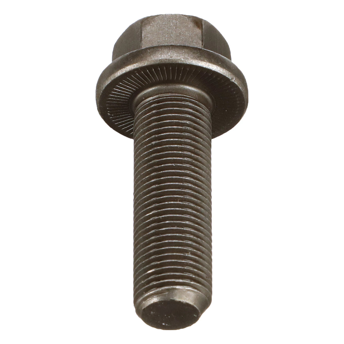 184716A1 - OEM SCREW - CASE CONSTRUCTION