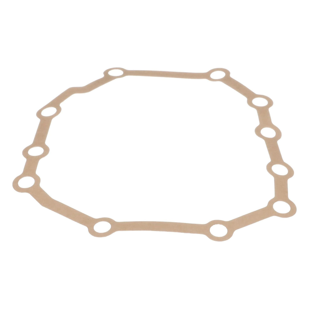 1970896C1 - OEM ENGINE GASKET - CASE CONSTRUCTION
