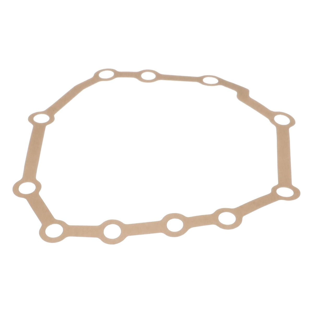 1970896C1 - OEM ENGINE GASKET - CASE CONSTRUCTION