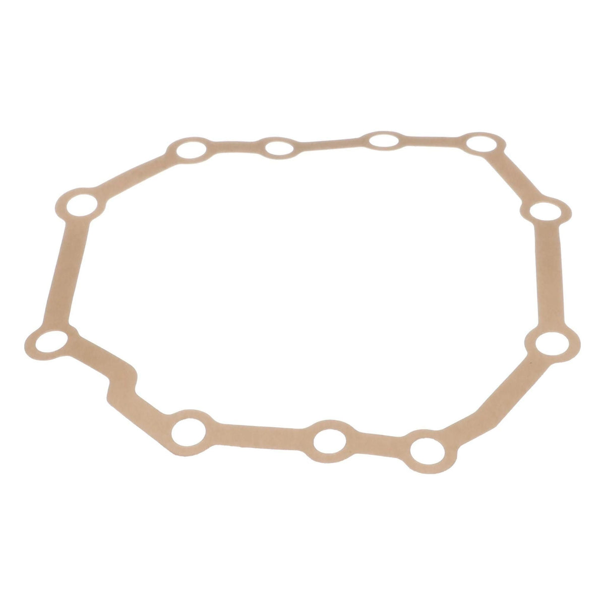 1970896C1 - OEM ENGINE GASKET - CASE CONSTRUCTION