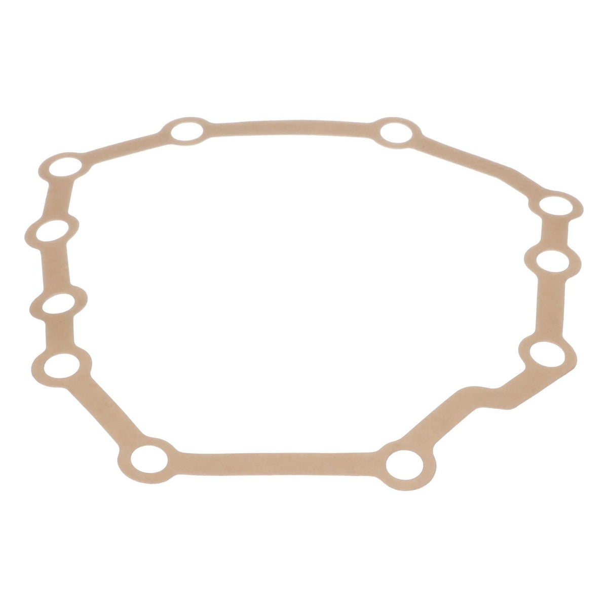 1970896C1 - OEM ENGINE GASKET - CASE CONSTRUCTION