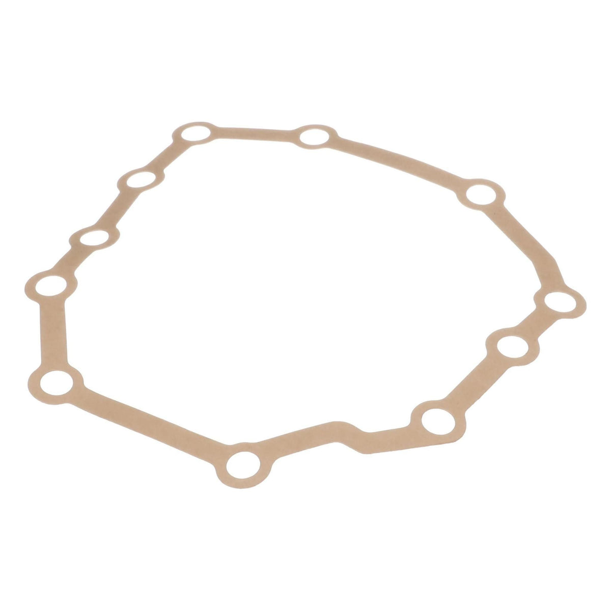 1970896C1 - OEM ENGINE GASKET - CASE CONSTRUCTION