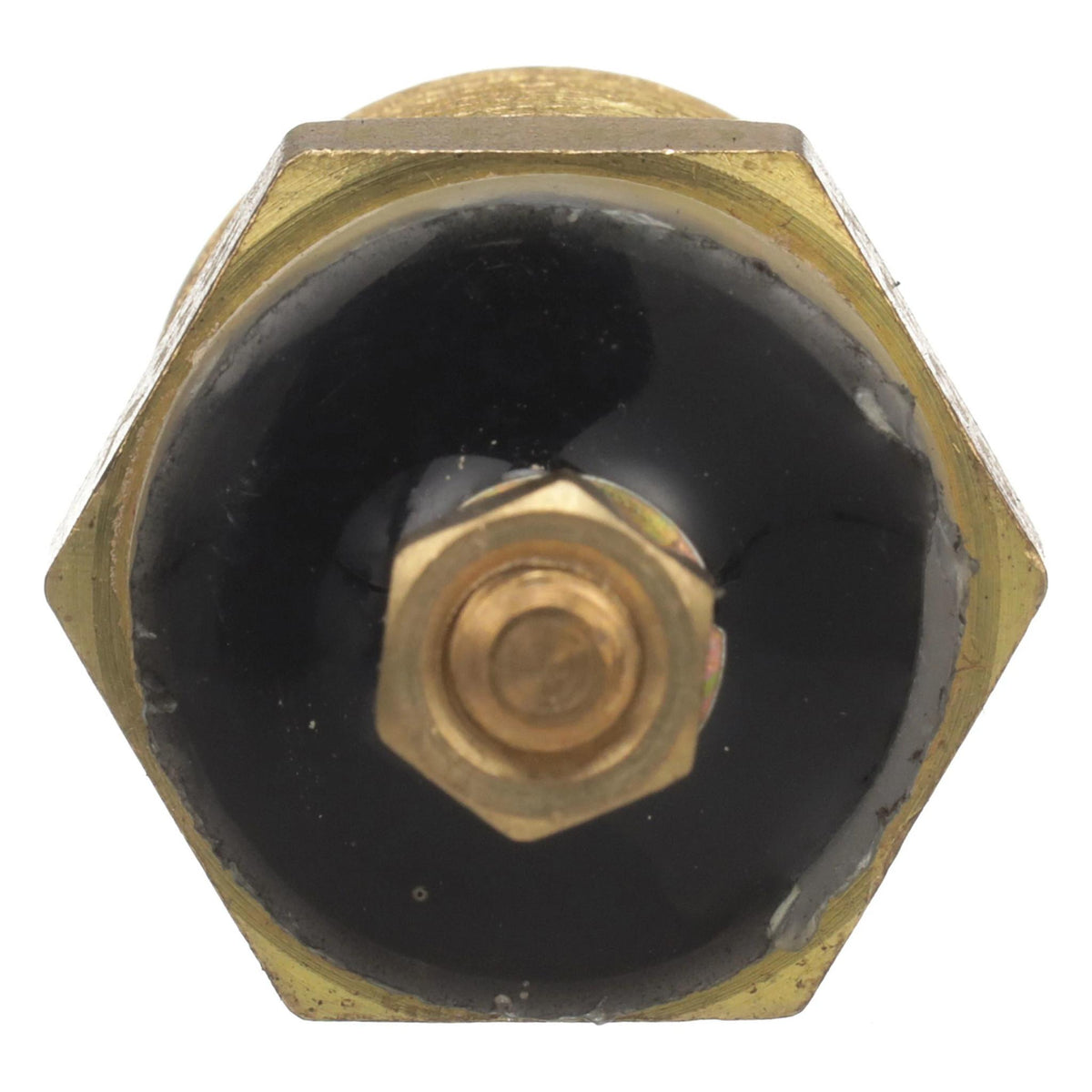 1983238C1 - OEM TEMPERATURE SWITCH WATER TEMPERATURE SENDER - CASE CONSTRUCTION