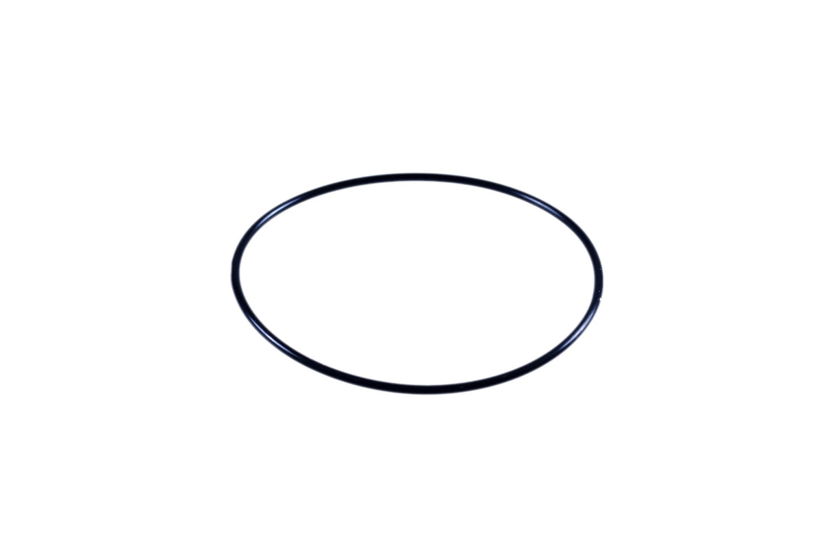 216255 - OEM O-RING - CASE CONSTRUCTION