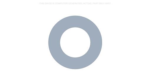 219115 - OEM WASHER - CASE CONSTRUCTION