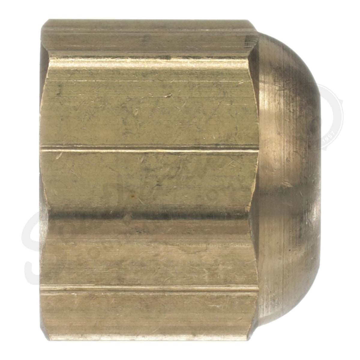 222-981 - OEM CAP NUT - CASE CONSTRUCTION