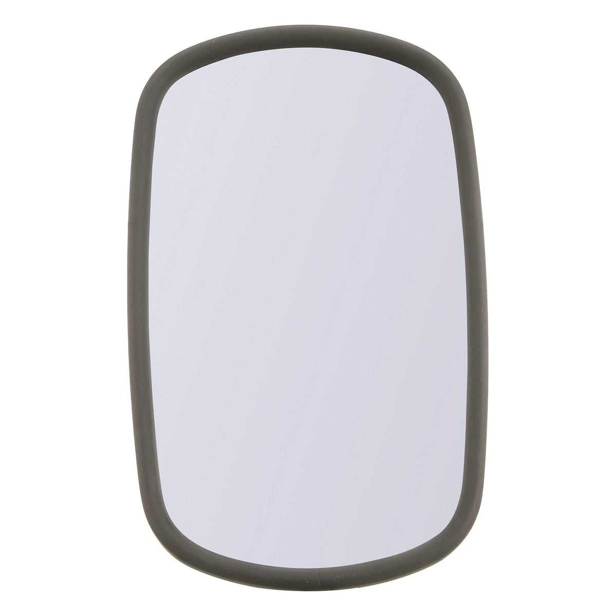 235994A1 - OEM MIRROR ASSEMBLY - CASE CONSTRUCTION
