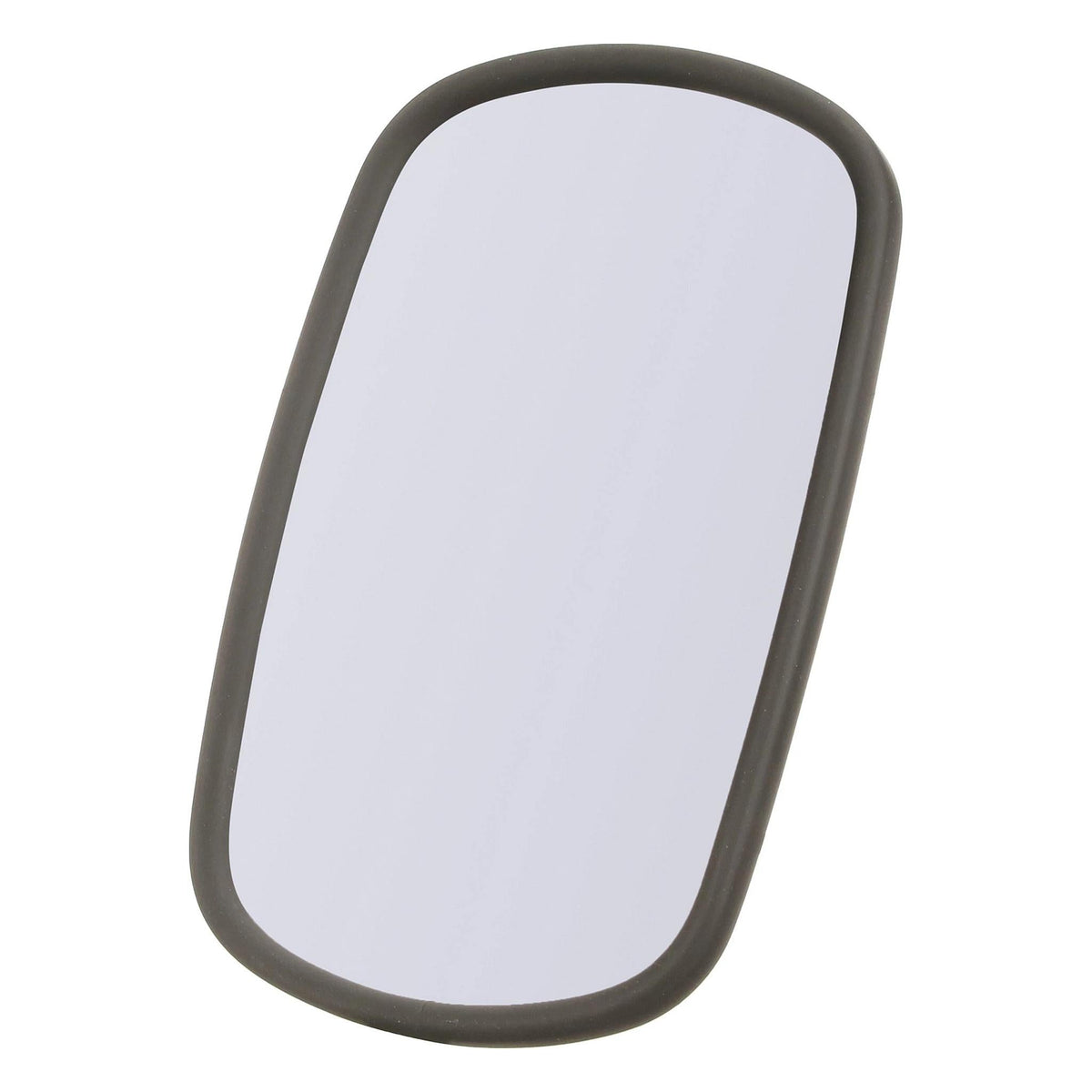 235994A1 - OEM MIRROR ASSEMBLY - CASE CONSTRUCTION