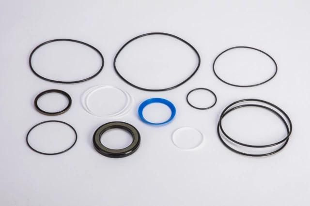 240899A1 - OEM SEALS KIT - CASE CONSTRUCTION