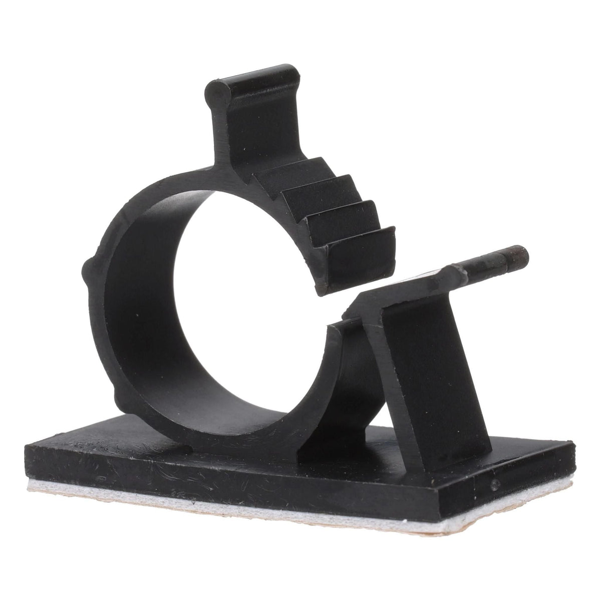 245854A1 - OEM CLIP - CASE CONSTRUCTION