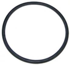 251139S - OEM O-RING - CASE CONSTRUCTION