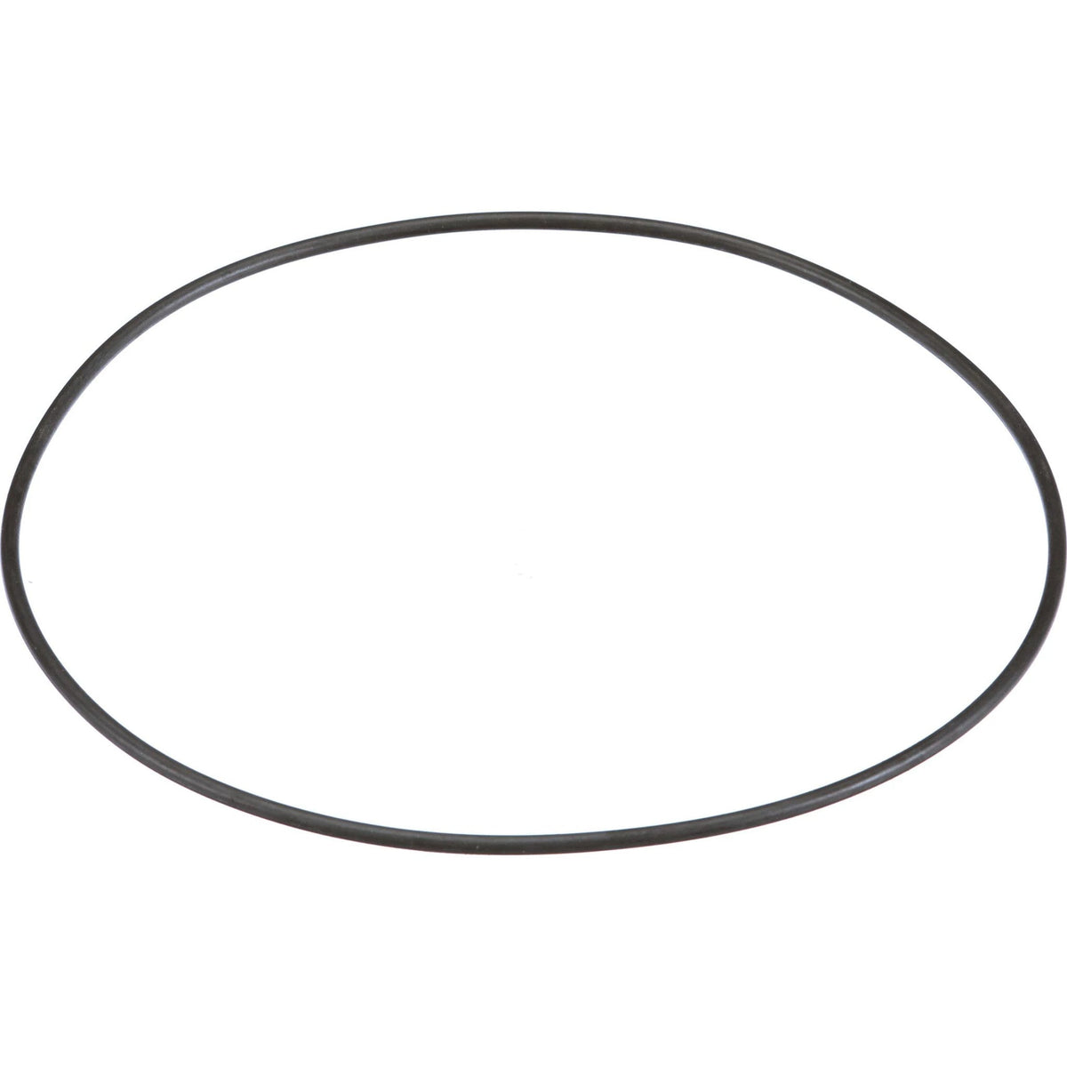 252176A1 - OEM O-RING - CASE CONSTRUCTION
