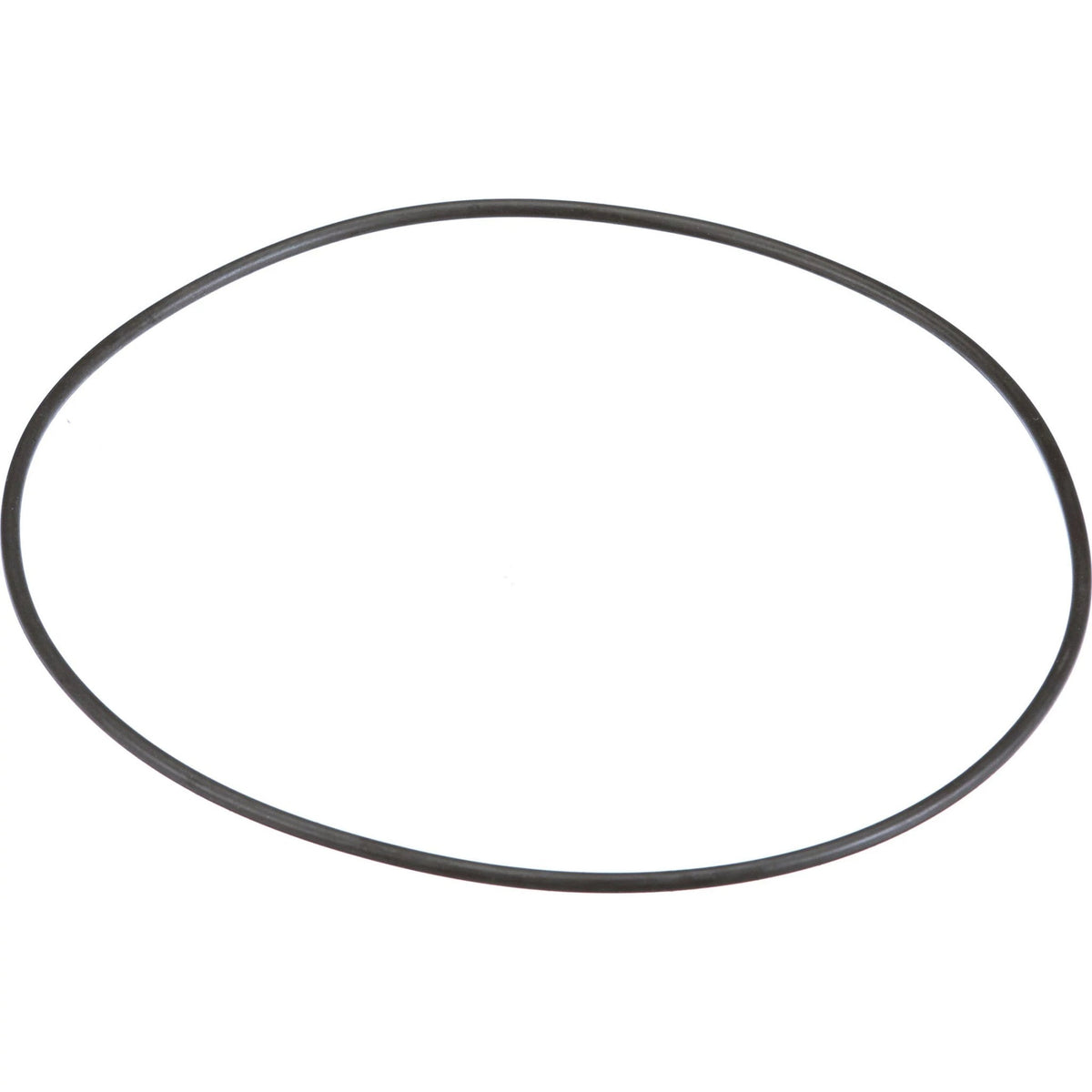 252176A1 - OEM O-RING - CASE CONSTRUCTION