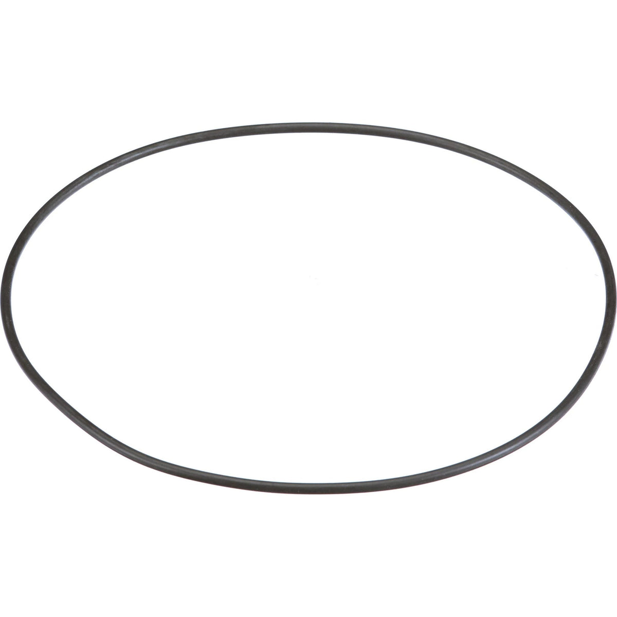 252176A1 - OEM O-RING - CASE CONSTRUCTION
