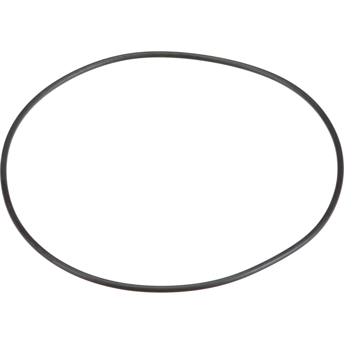 252176A1 - OEM O-RING - CASE CONSTRUCTION